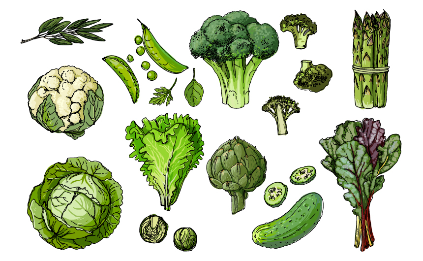 おすすめ1品：ビタミンと食物繊維が豊富 お弁当の彩り『緑』