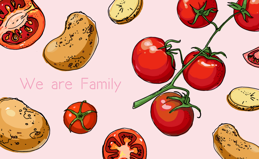 じゃがいもとトマトは家族です