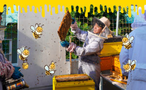 養蜂を通して社会貢献 聖学院みつばちプロジェクト①