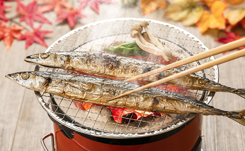 秋の味覚クイズ秋刀魚編：驚きの初競り価格